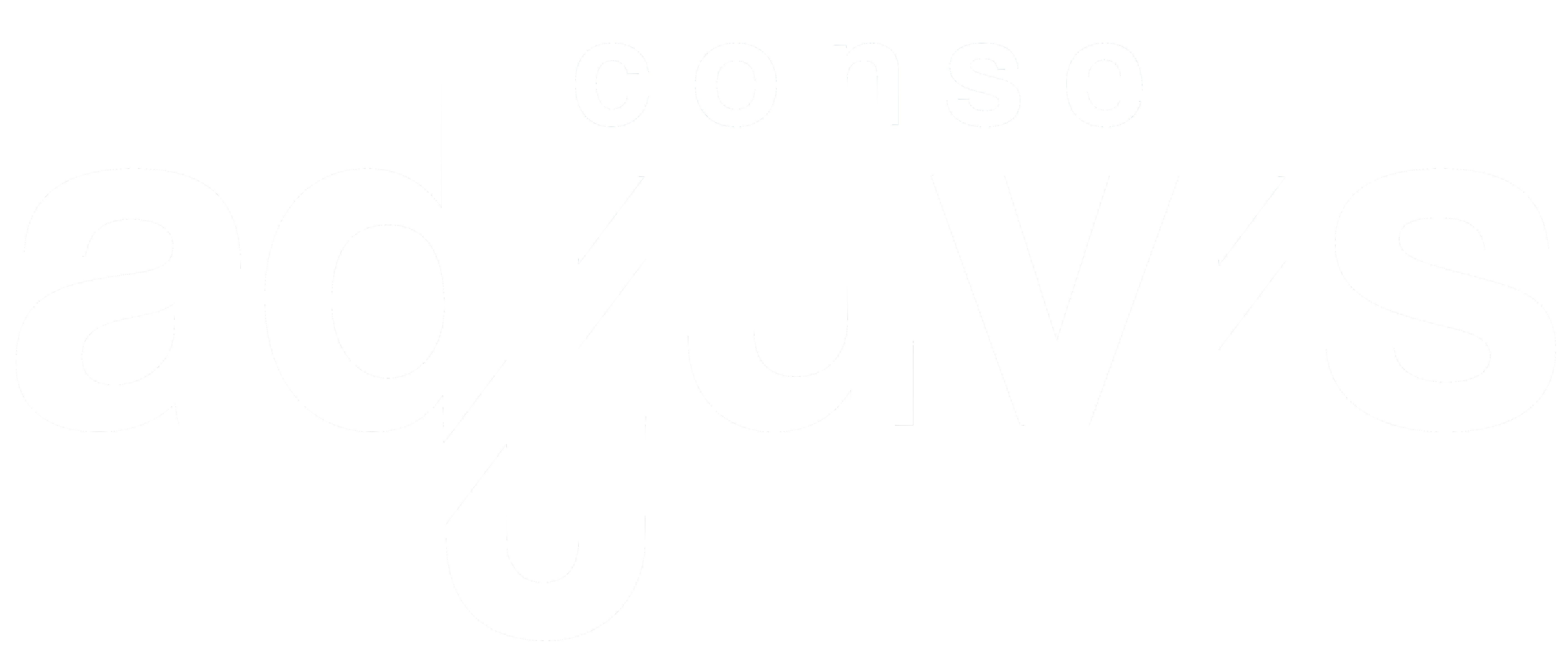 Adjuvis-Conseil